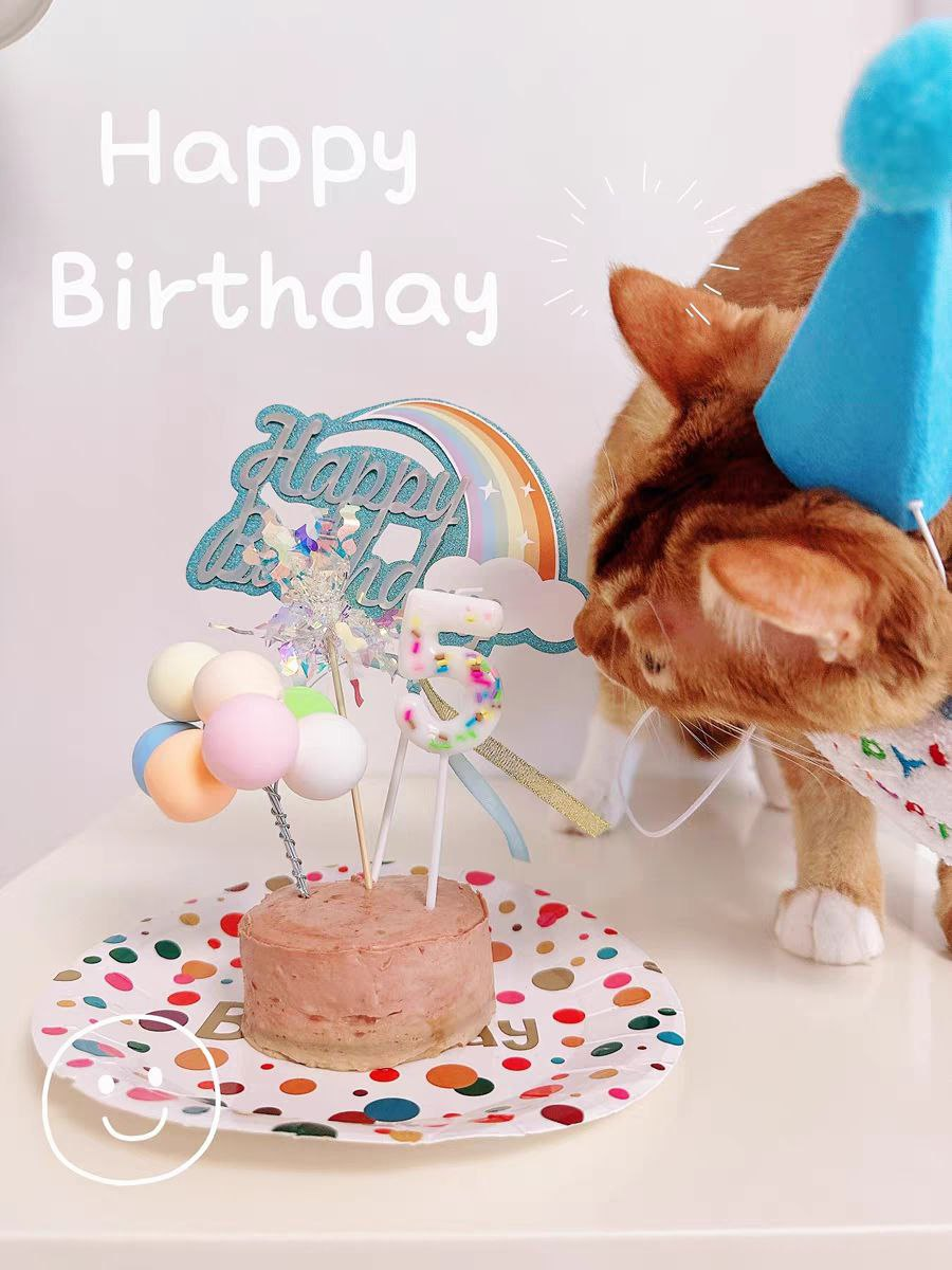 猫咪生日套装 生日分为饰品（不包含罐头）