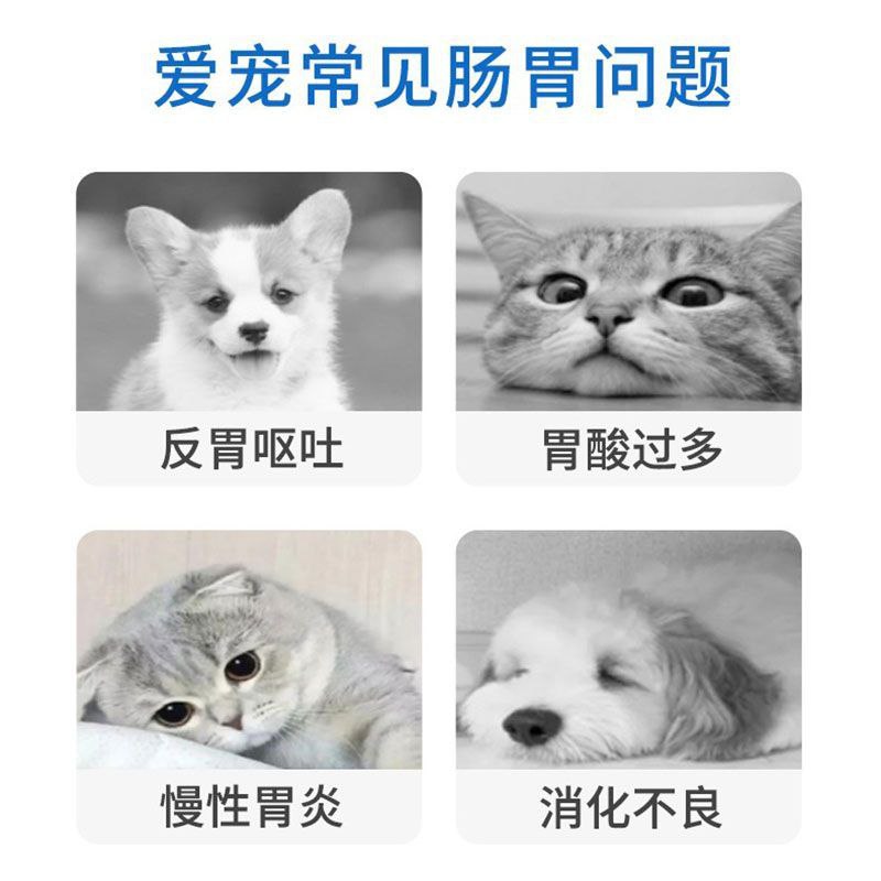 西咪替丁片 猫咪呕吐 紧急止吐